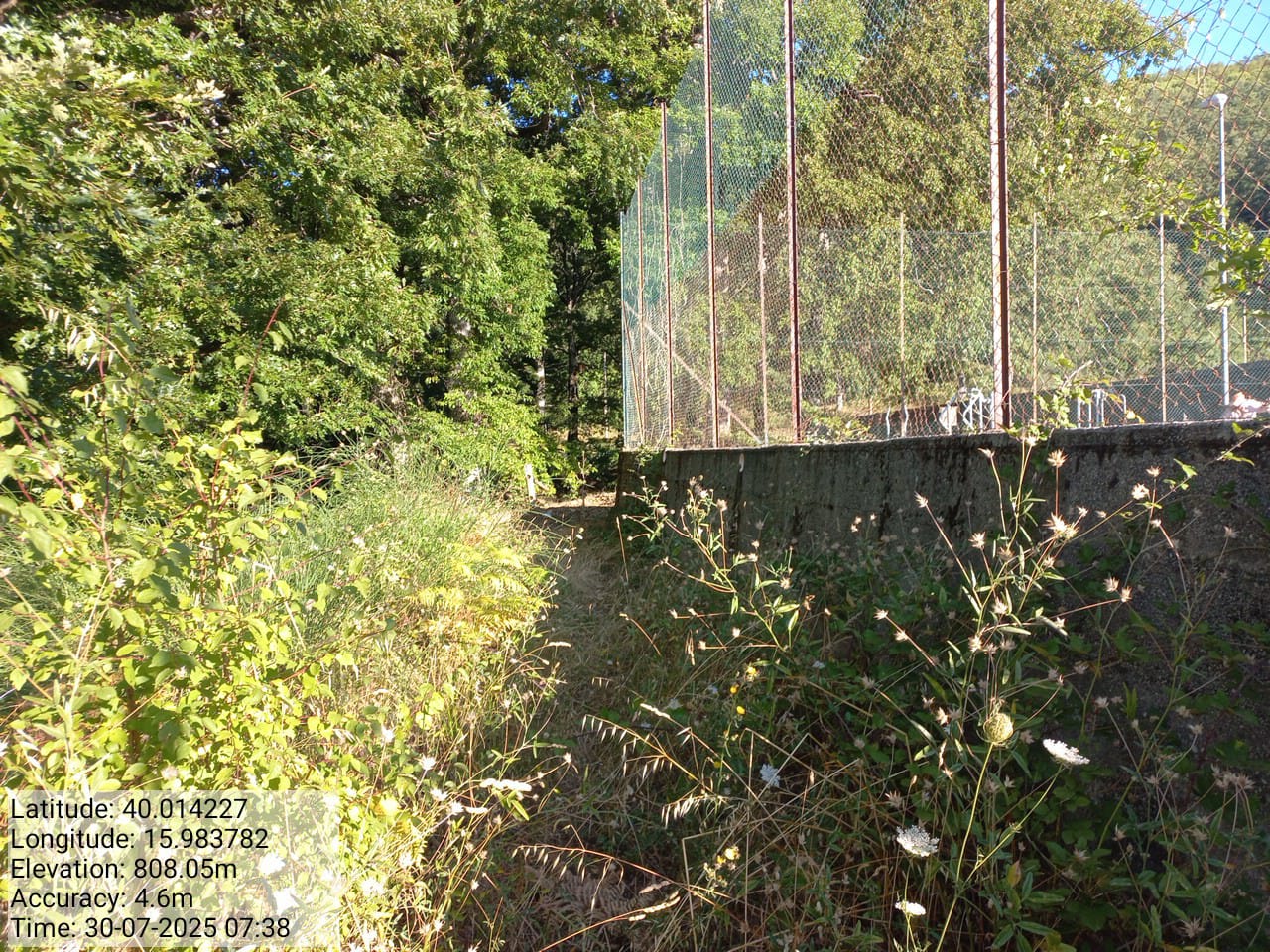 Galleria Fotografica Immagine