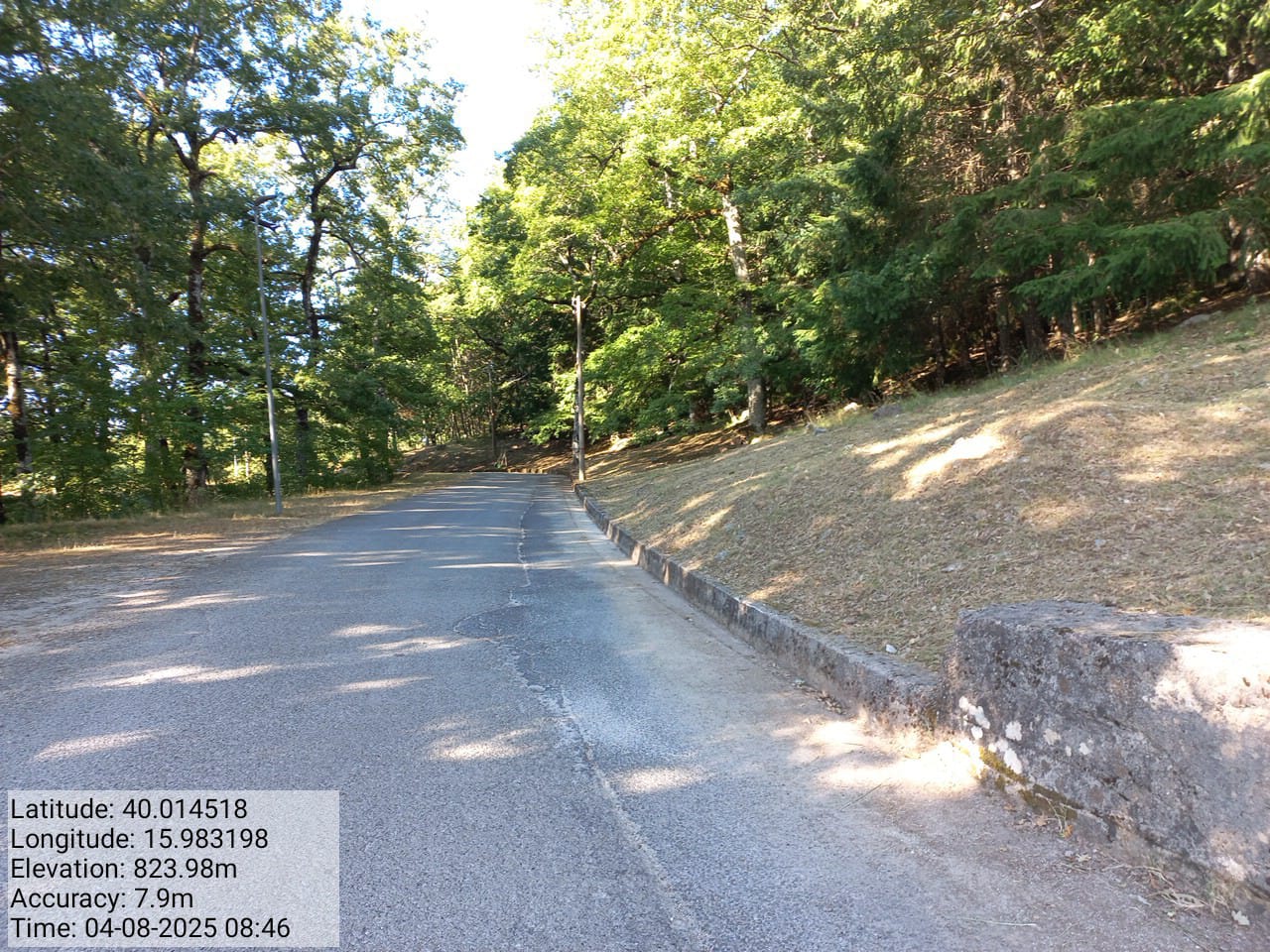 Galleria Fotografica Immagine