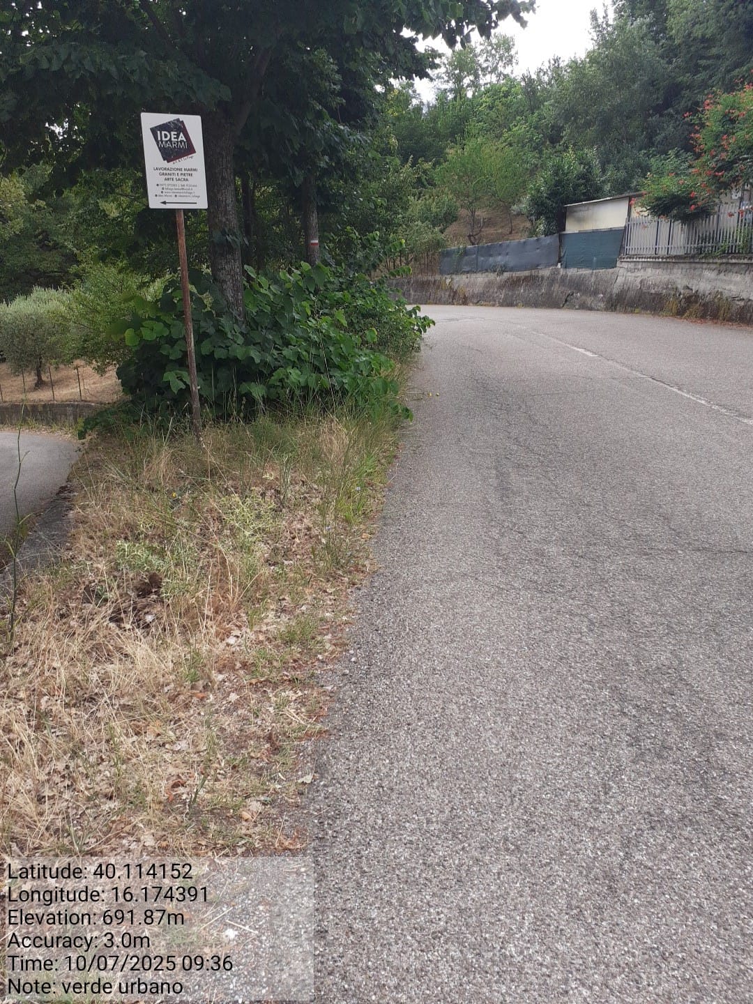 Galleria Fotografica Immagine