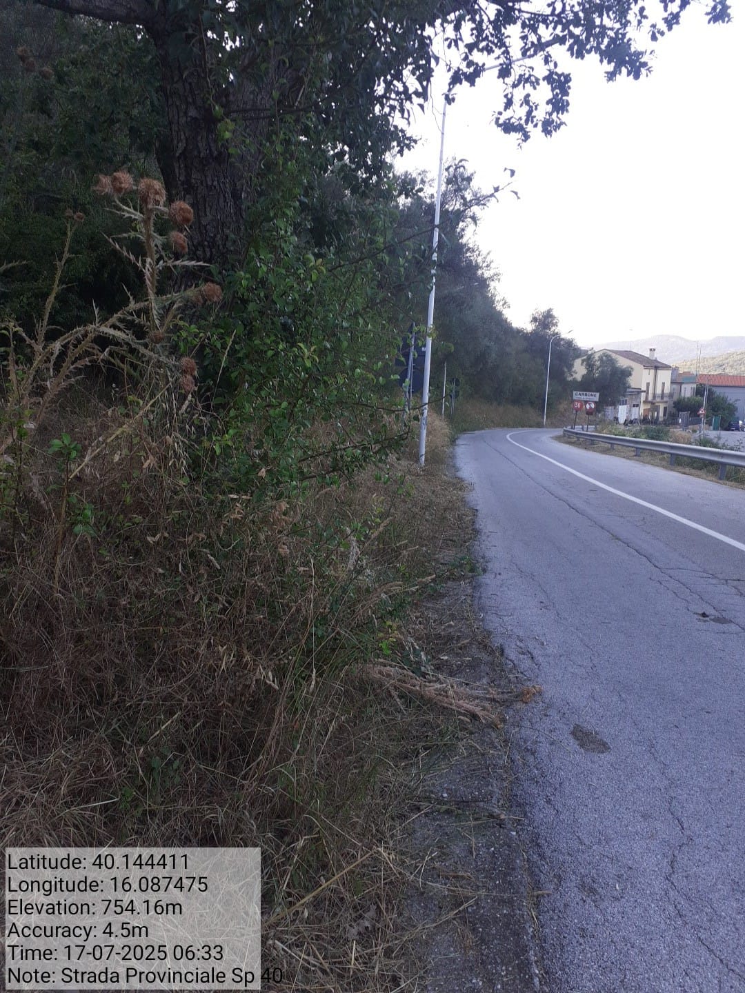 Galleria Fotografica Immagine