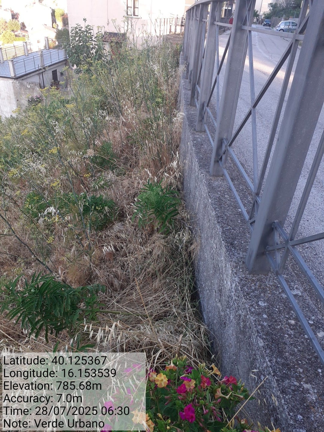 Galleria Fotografica Immagine