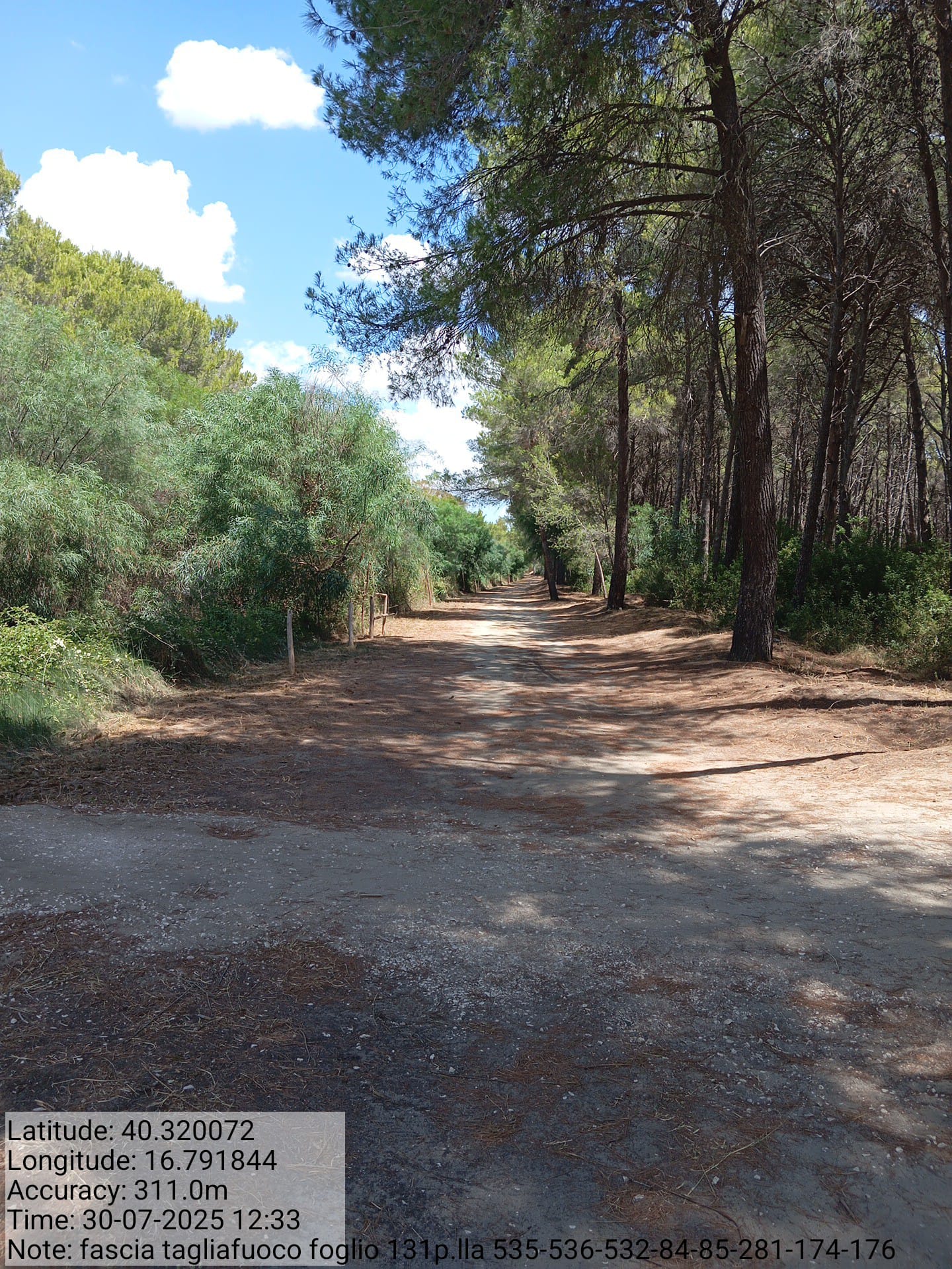 Galleria Fotografica Immagine