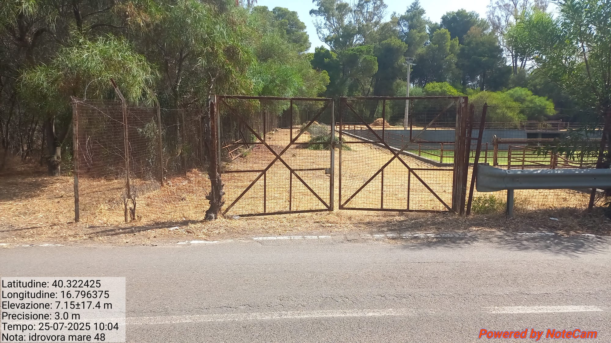 Galleria Fotografica Immagine