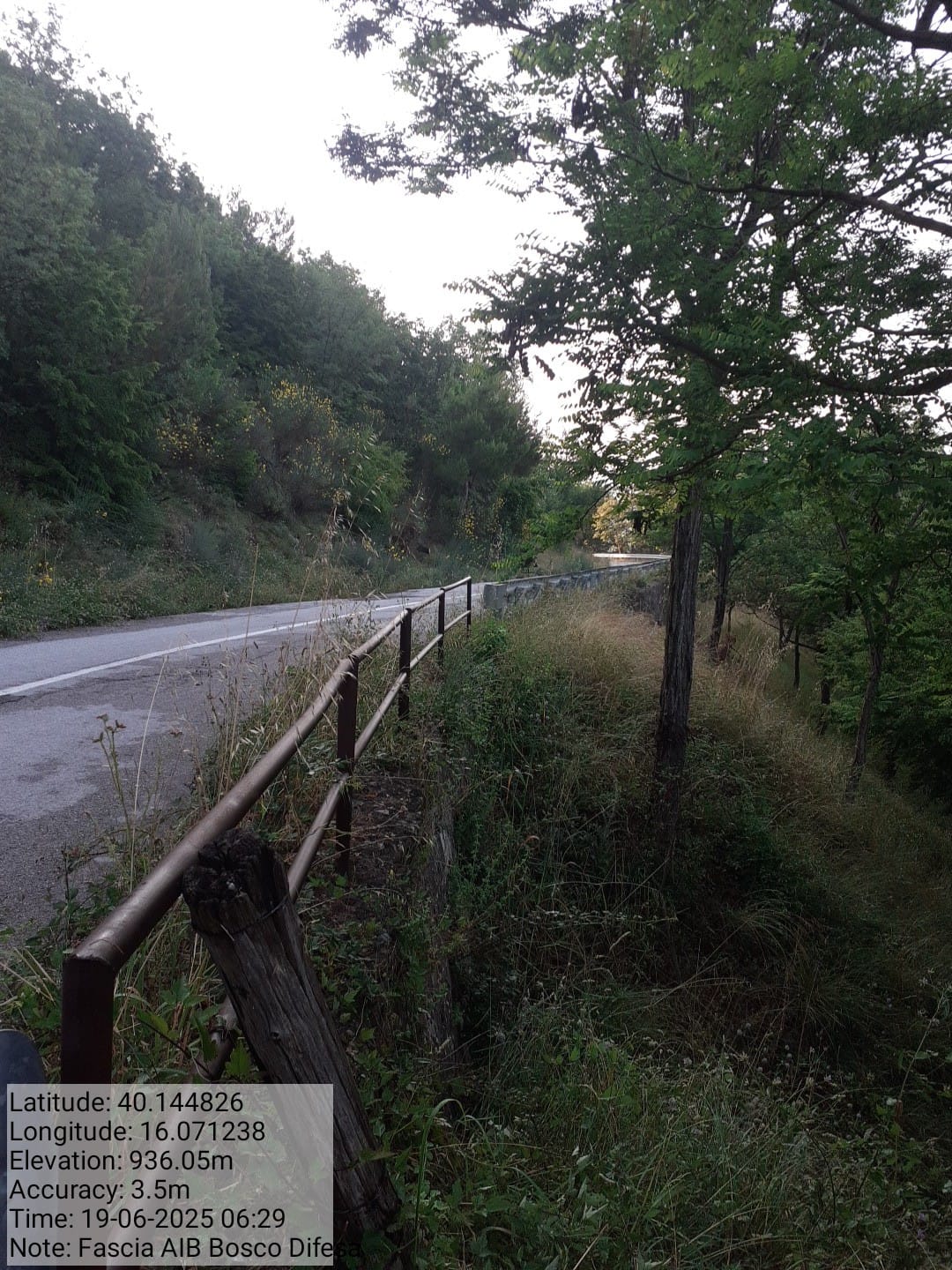 Galleria Fotografica Immagine