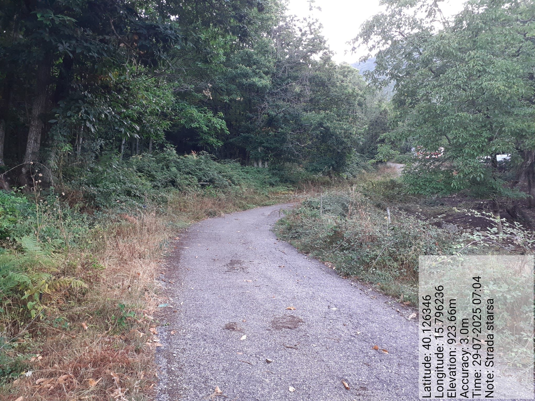 Galleria Fotografica Immagine