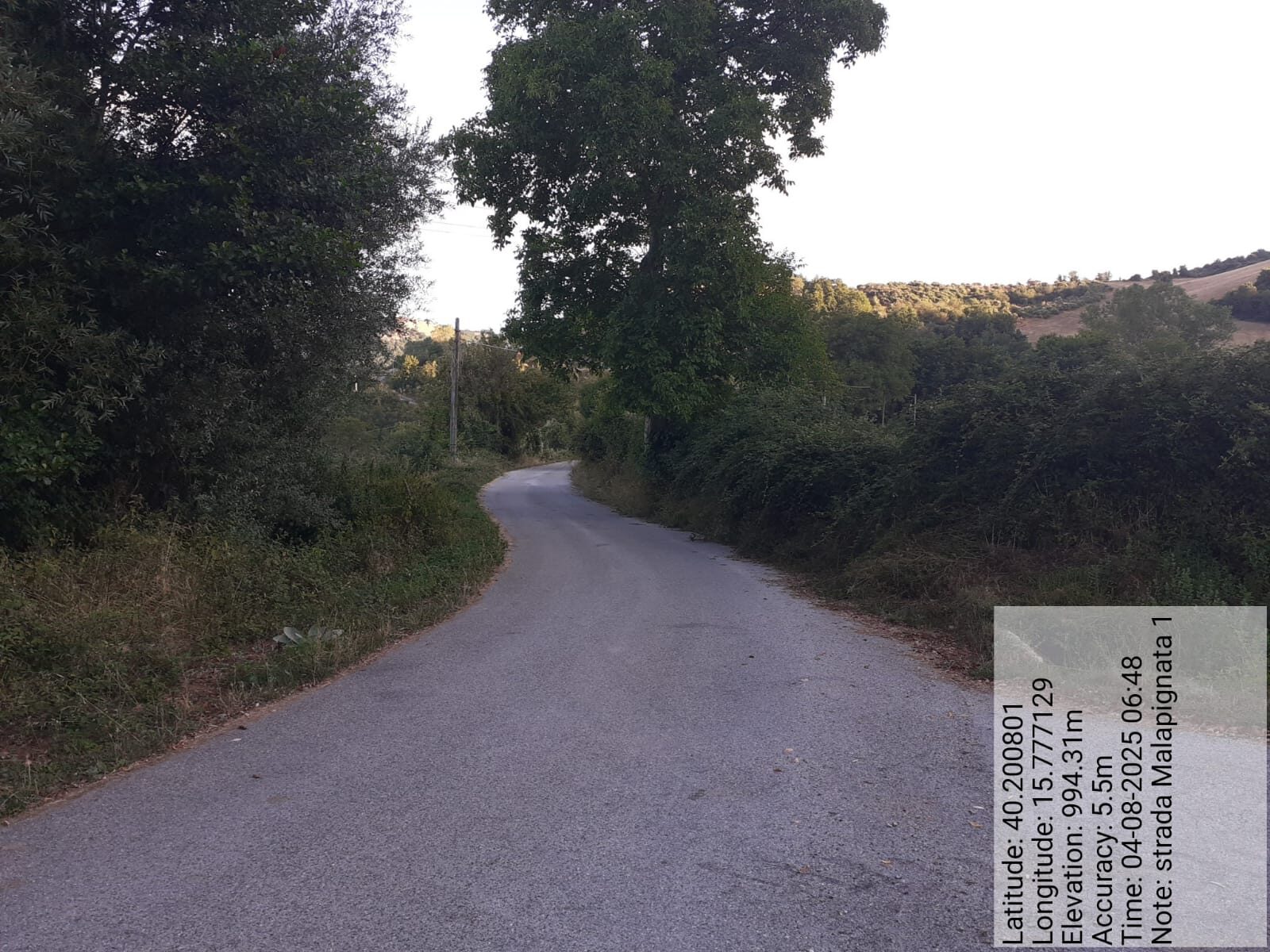 Galleria Fotografica Immagine