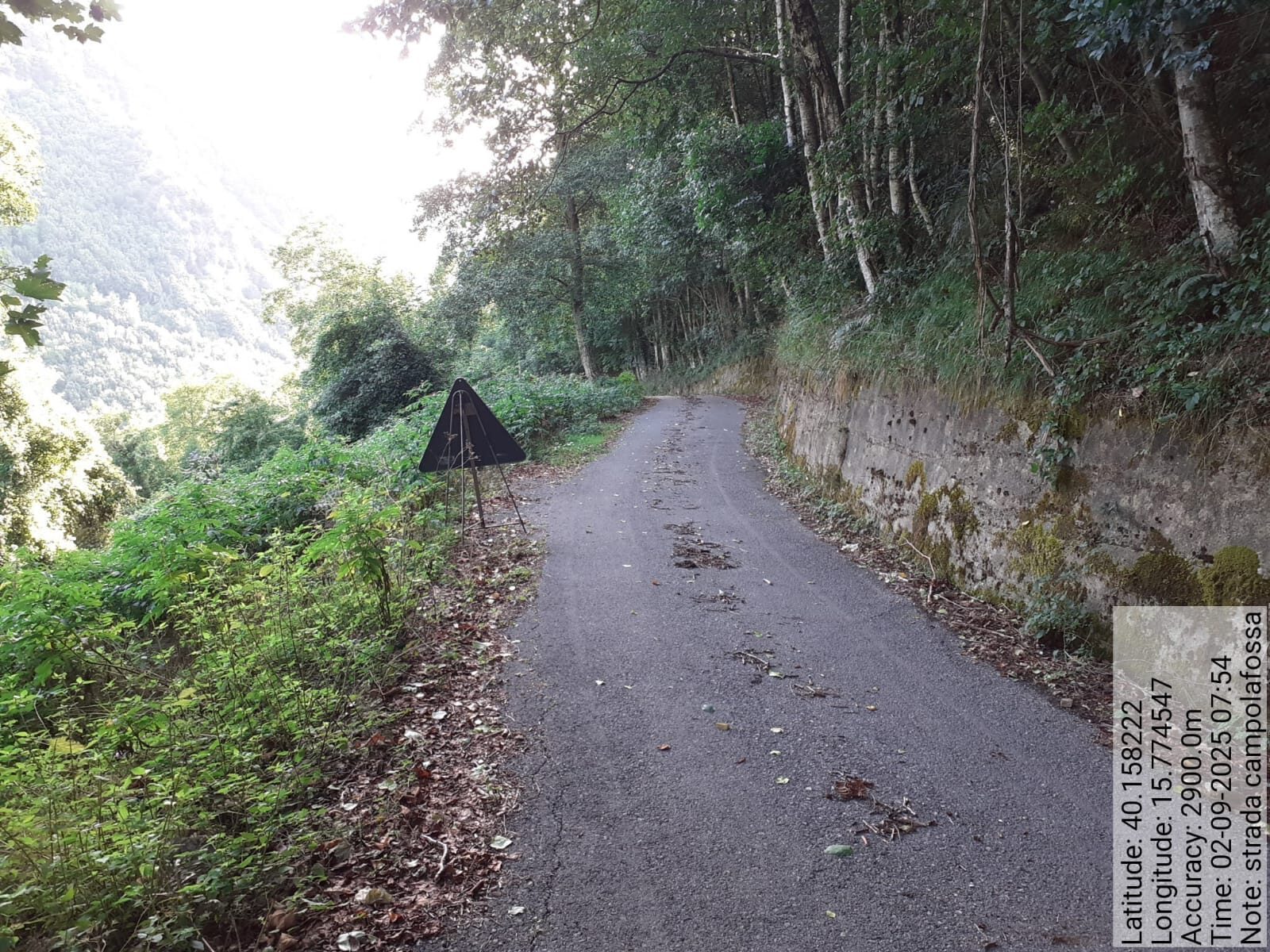 Galleria Fotografica Immagine