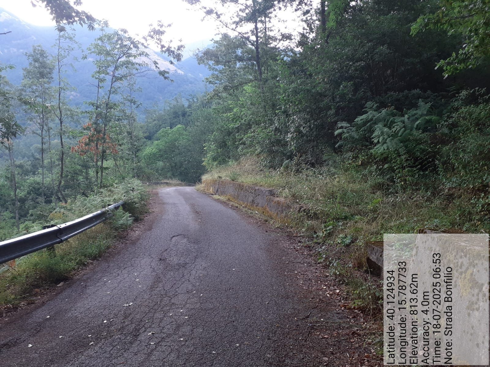 Galleria Fotografica Immagine