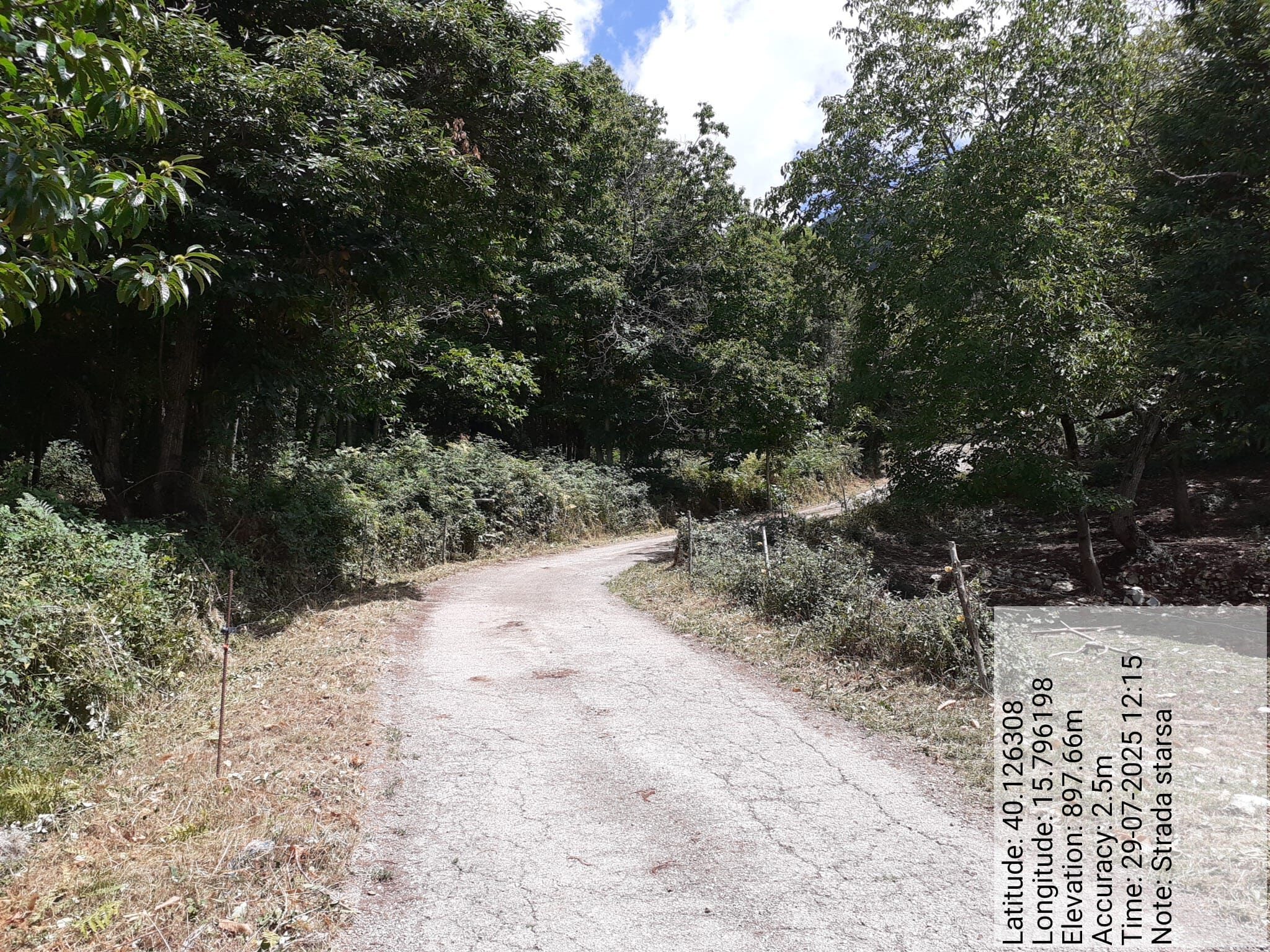 Galleria Fotografica Immagine