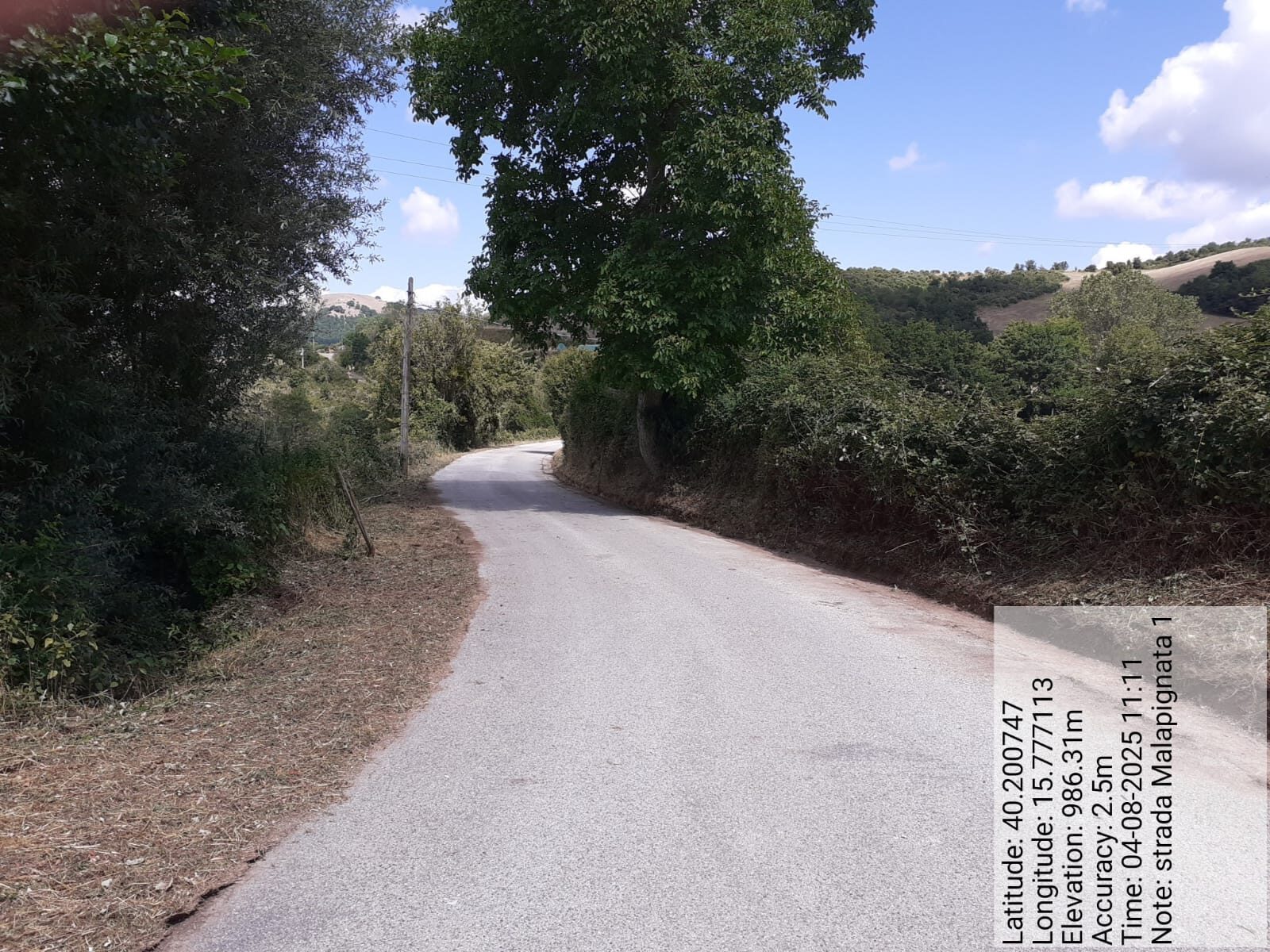 Galleria Fotografica Immagine