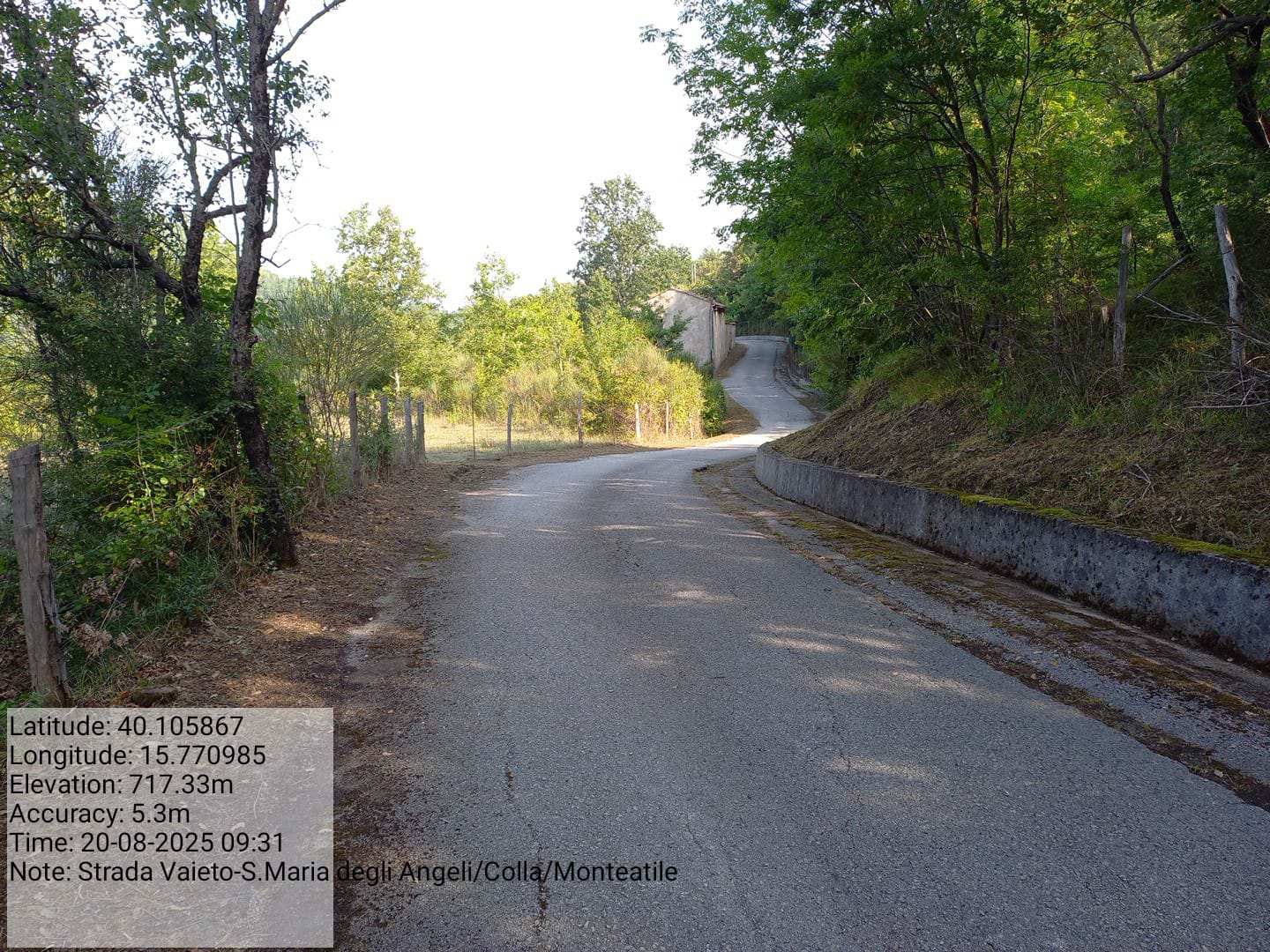 Galleria Fotografica Immagine