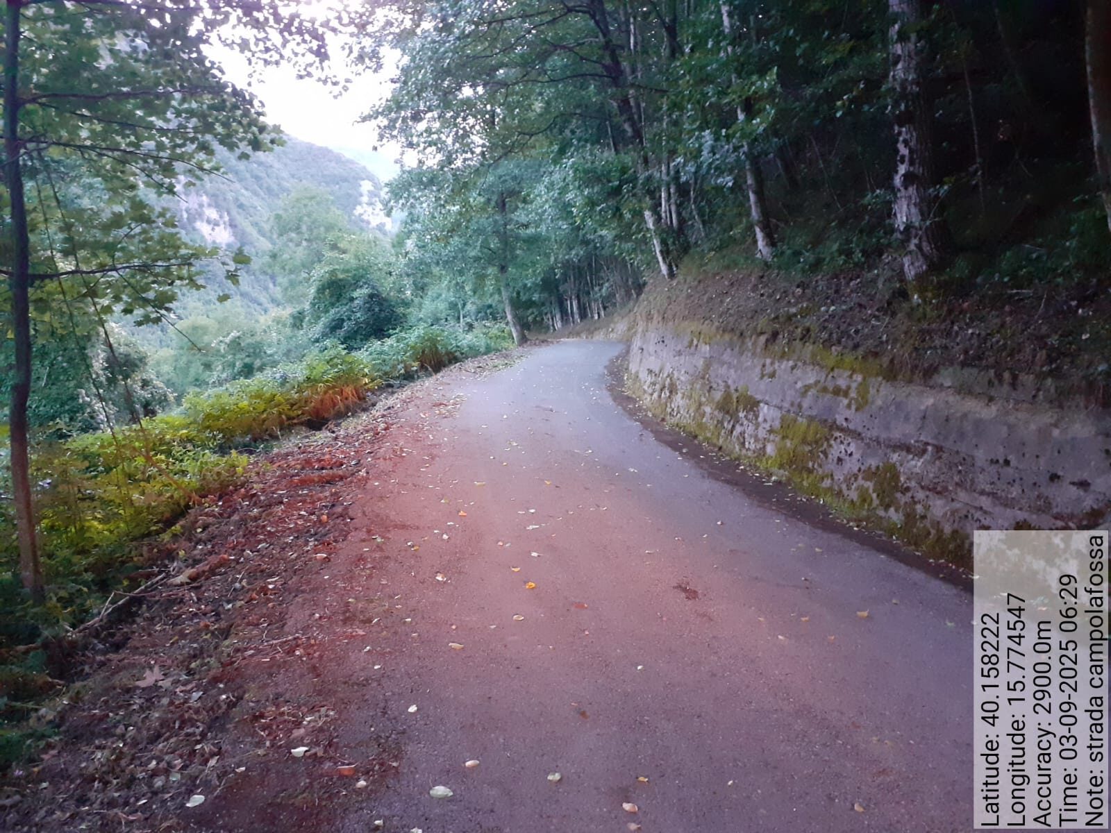 Galleria Fotografica Immagine