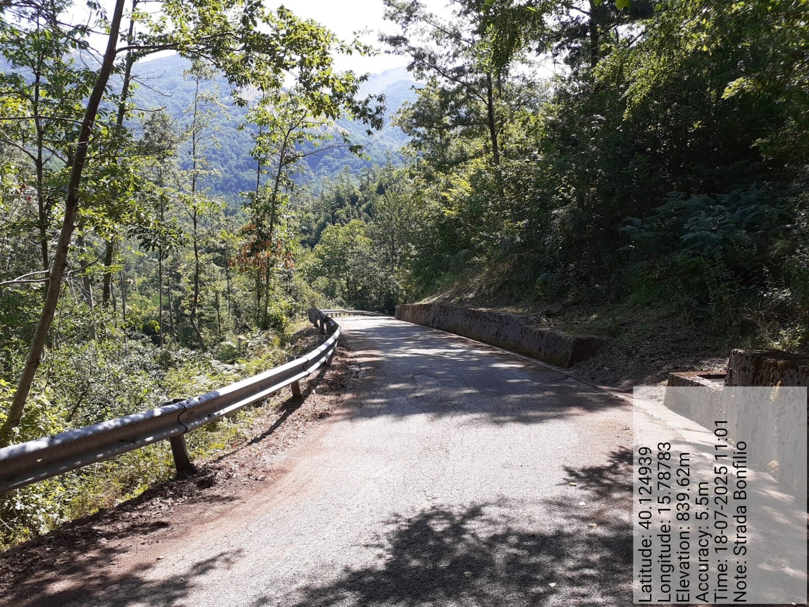 Galleria Fotografica Immagine