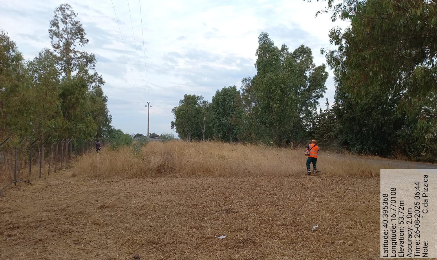 Galleria Fotografica Immagine