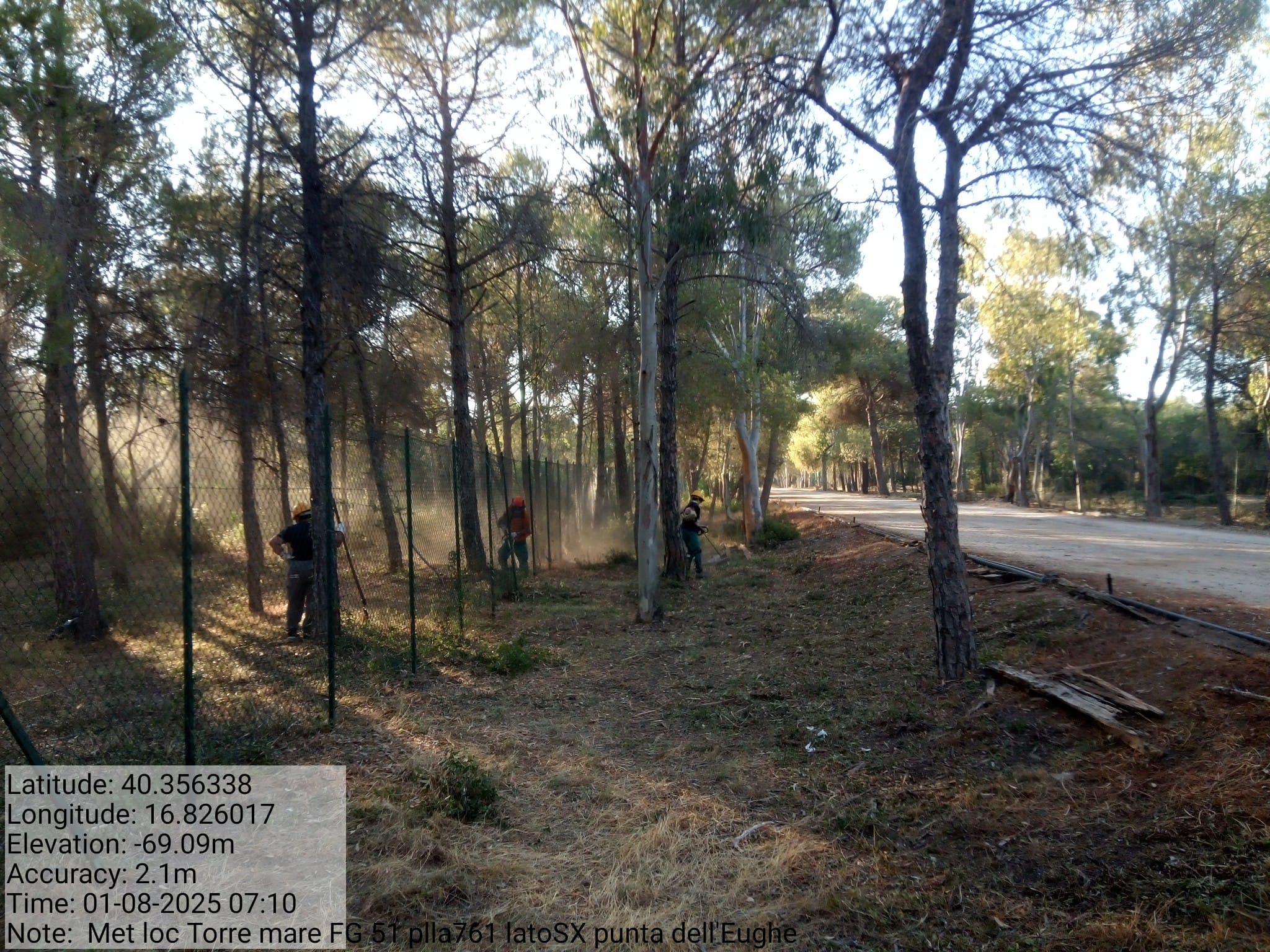 Galleria Fotografica Immagine