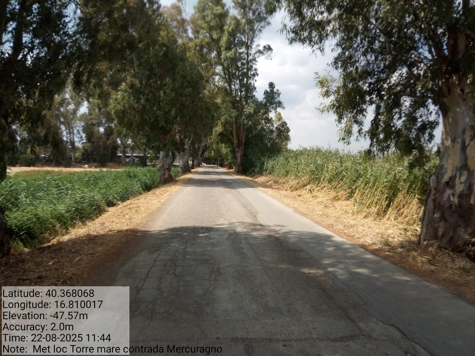 Galleria Fotografica Immagine