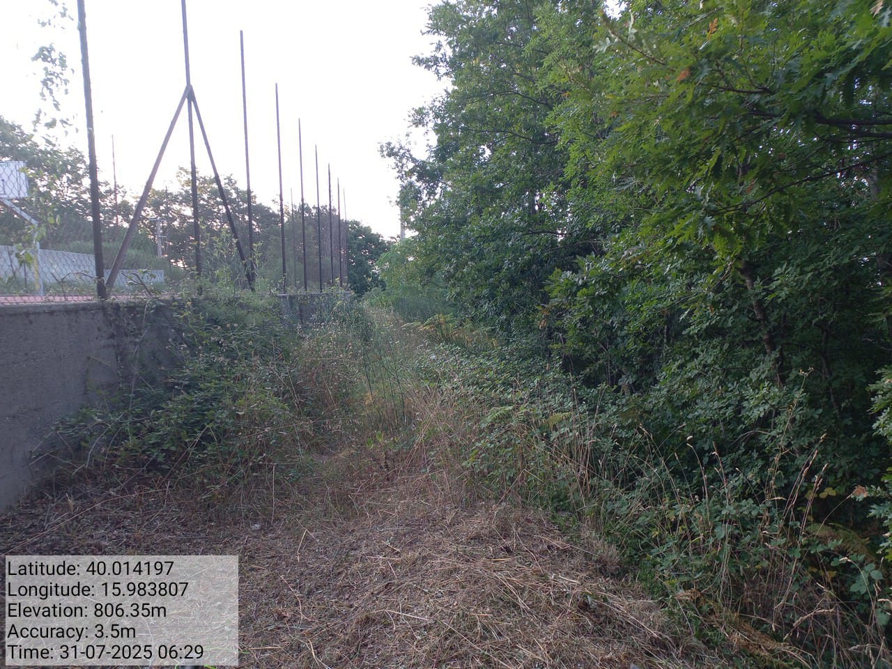 Galleria Fotografica Immagine