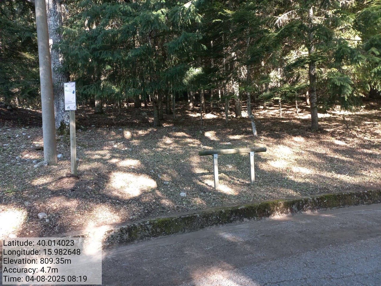 Galleria Fotografica Immagine