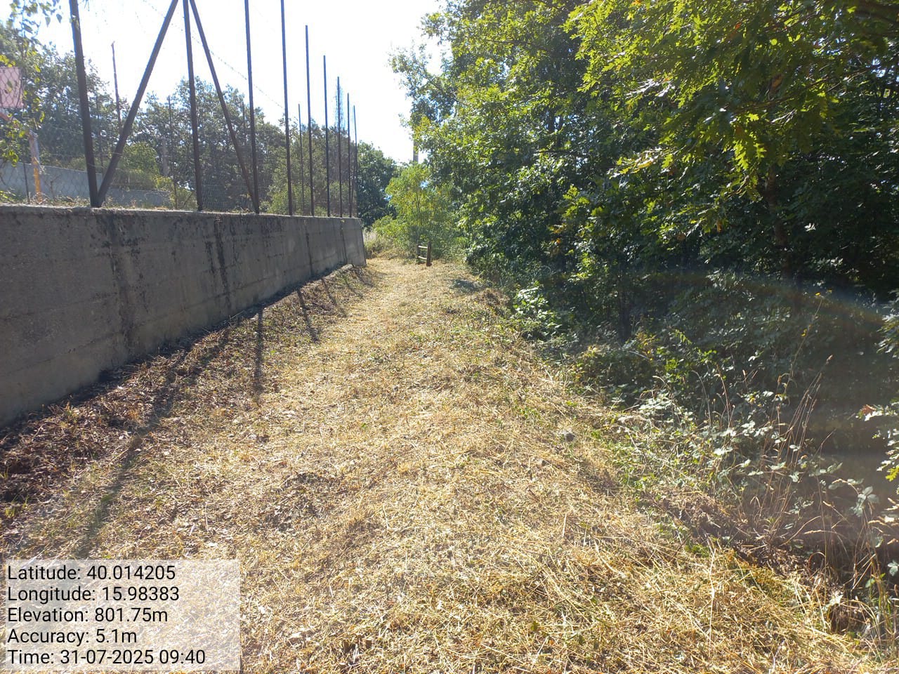 Galleria Fotografica Immagine