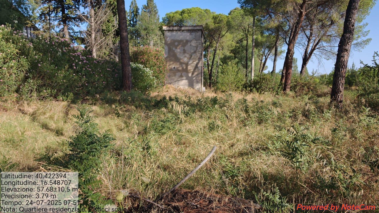 Galleria Fotografica Immagine