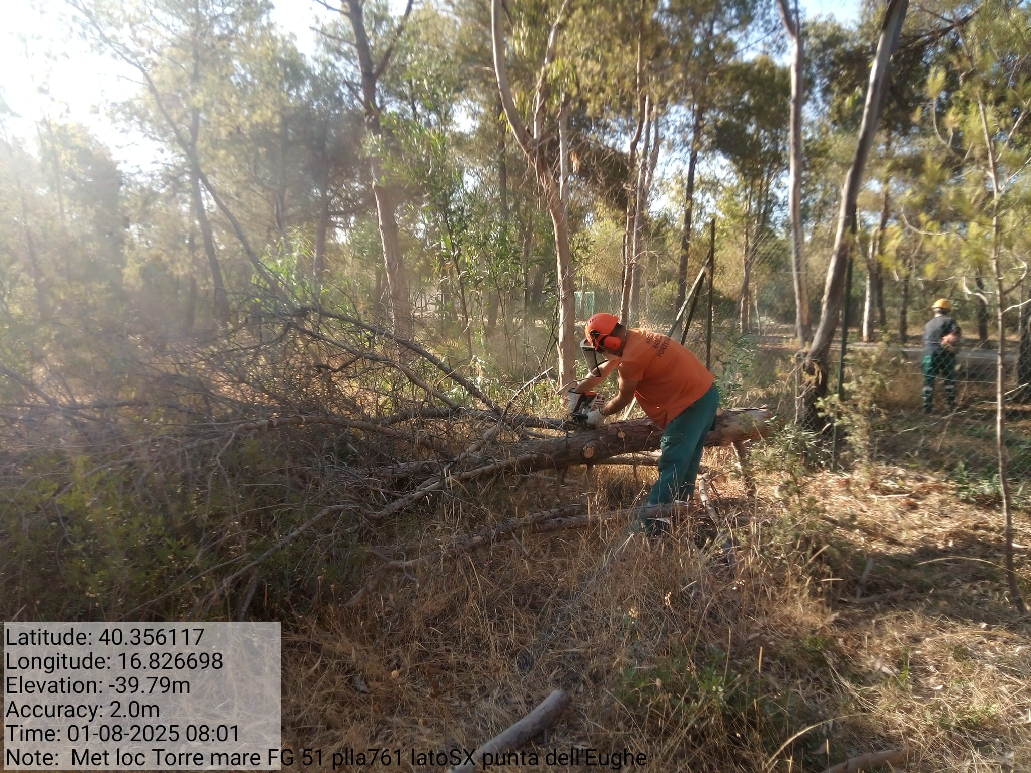 Galleria Fotografica Immagine