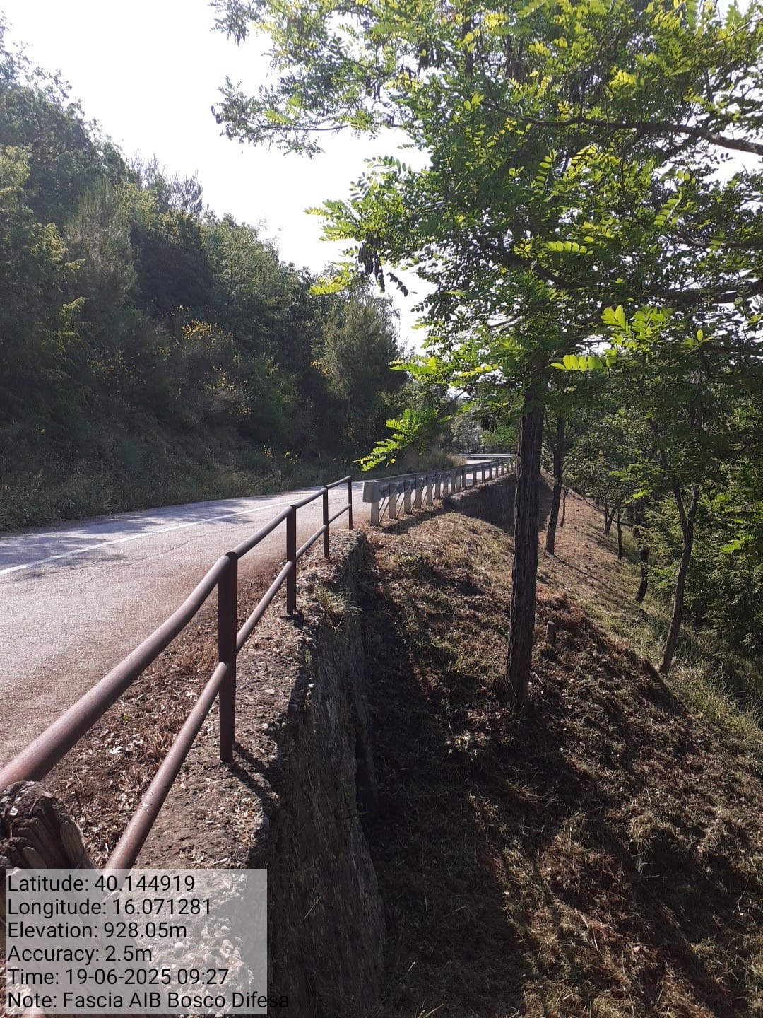 Galleria Fotografica Immagine