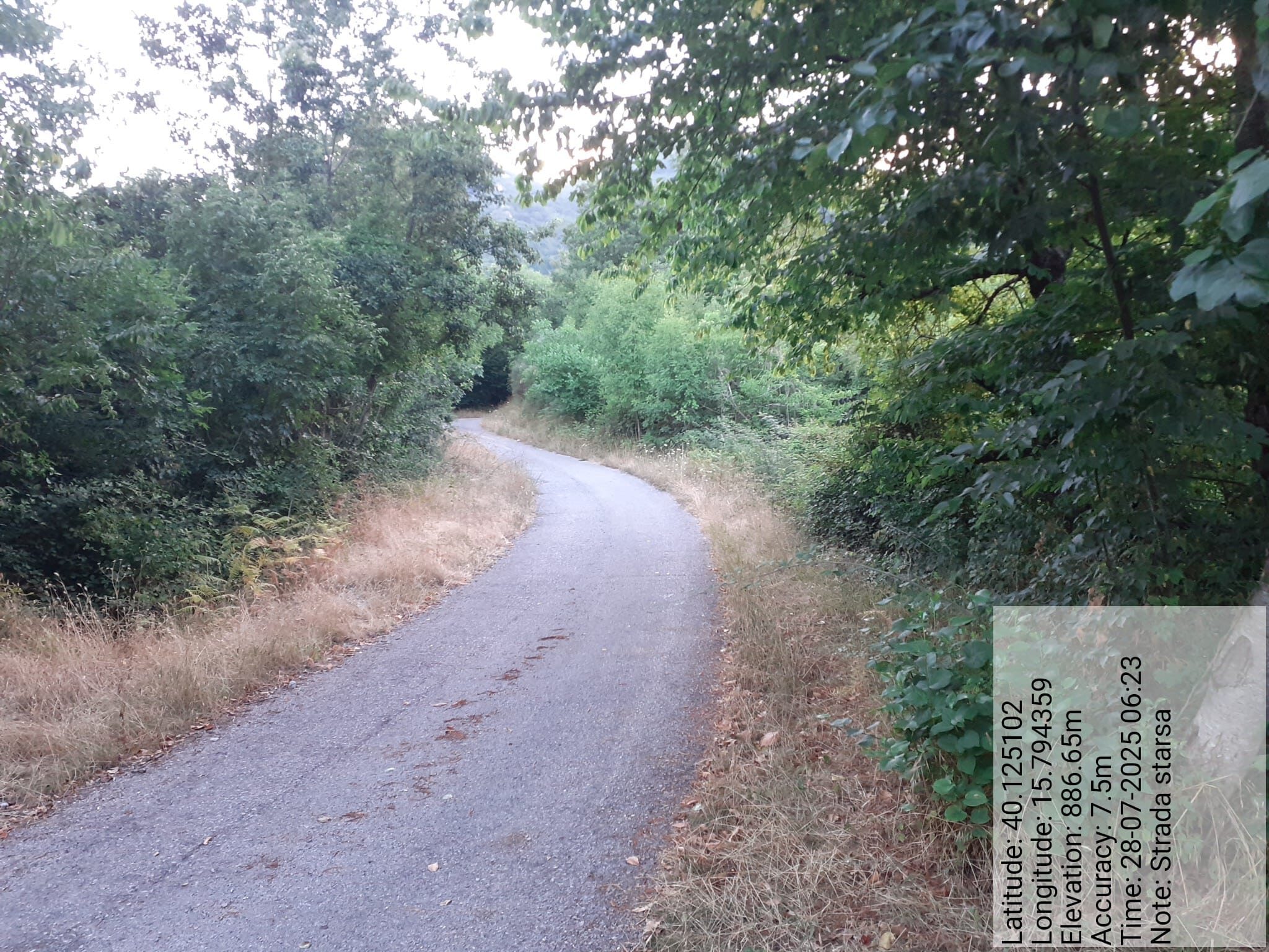 Galleria Fotografica Immagine