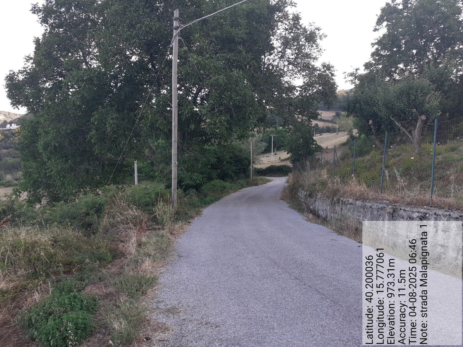 Galleria Fotografica Immagine