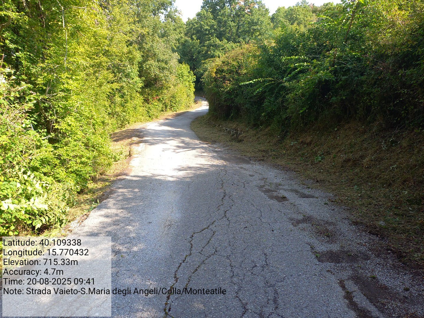 Galleria Fotografica Immagine