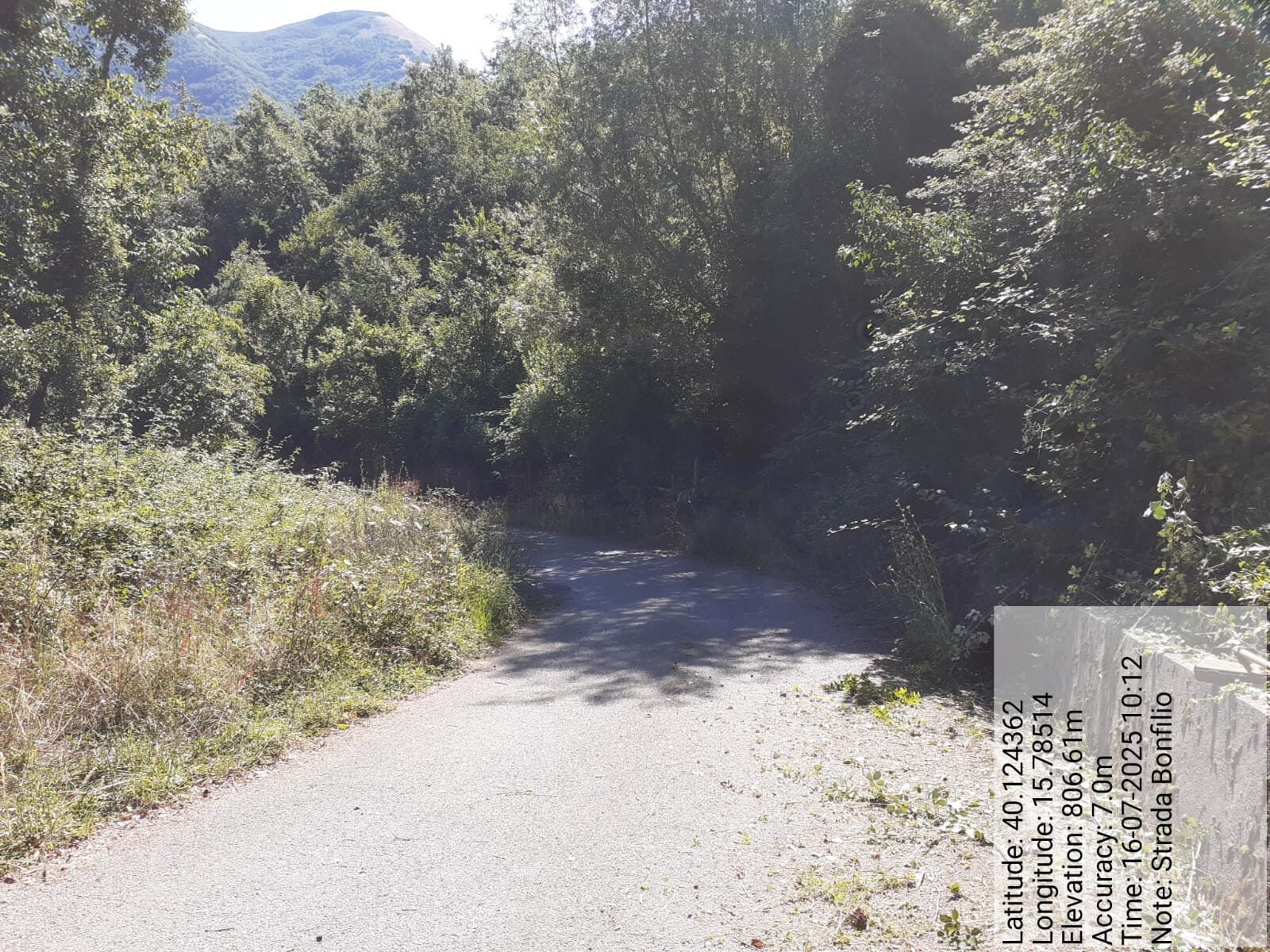 Galleria Fotografica Immagine