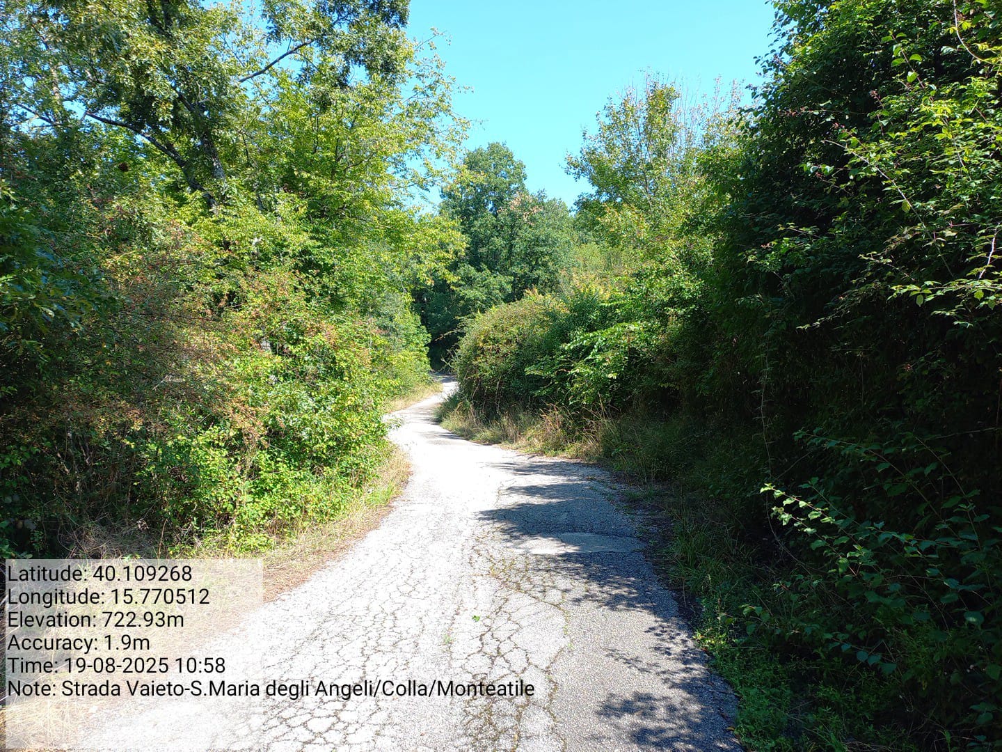 Galleria Fotografica Immagine