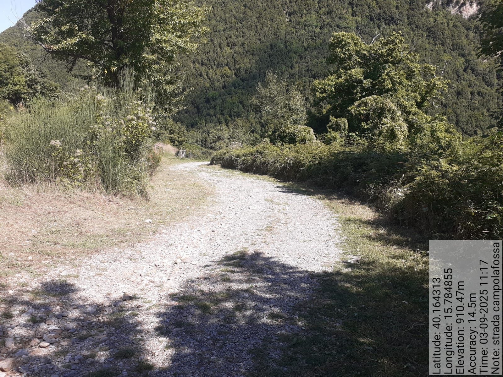 Galleria Fotografica Immagine