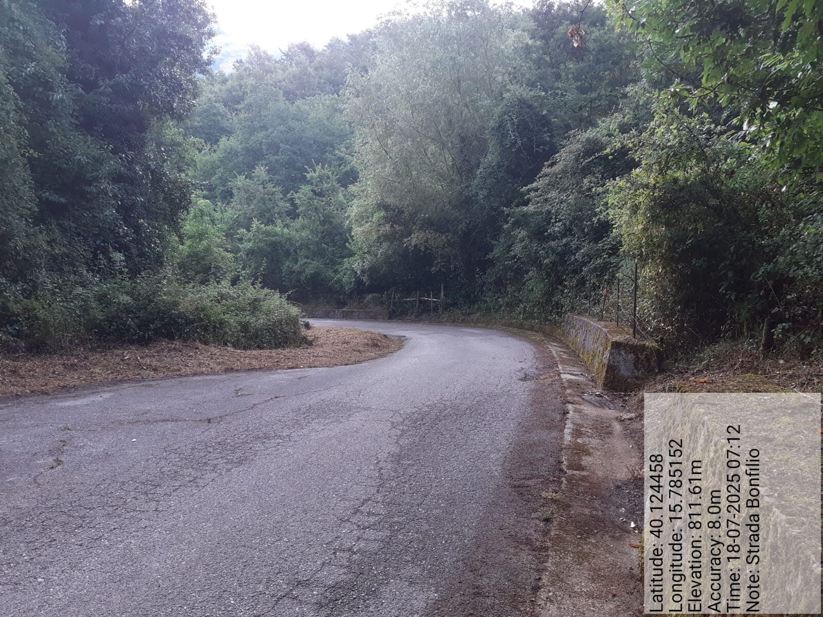 Galleria Fotografica Immagine