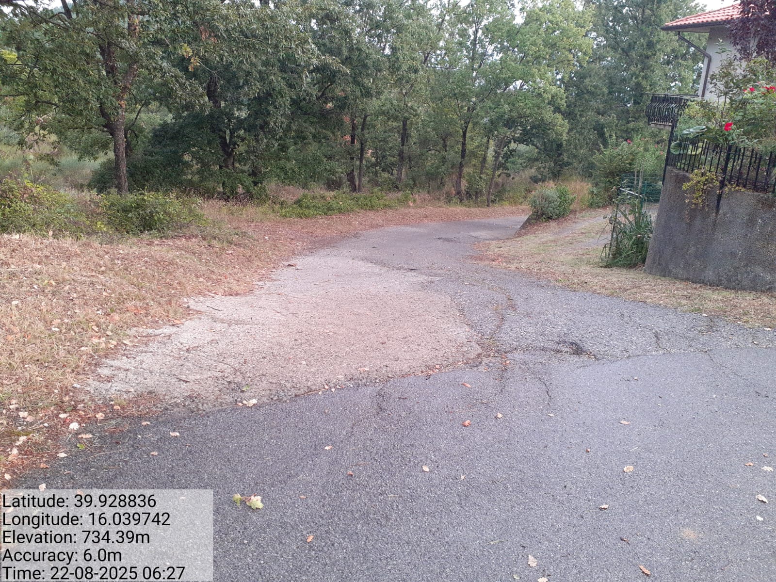 Galleria Fotografica Immagine