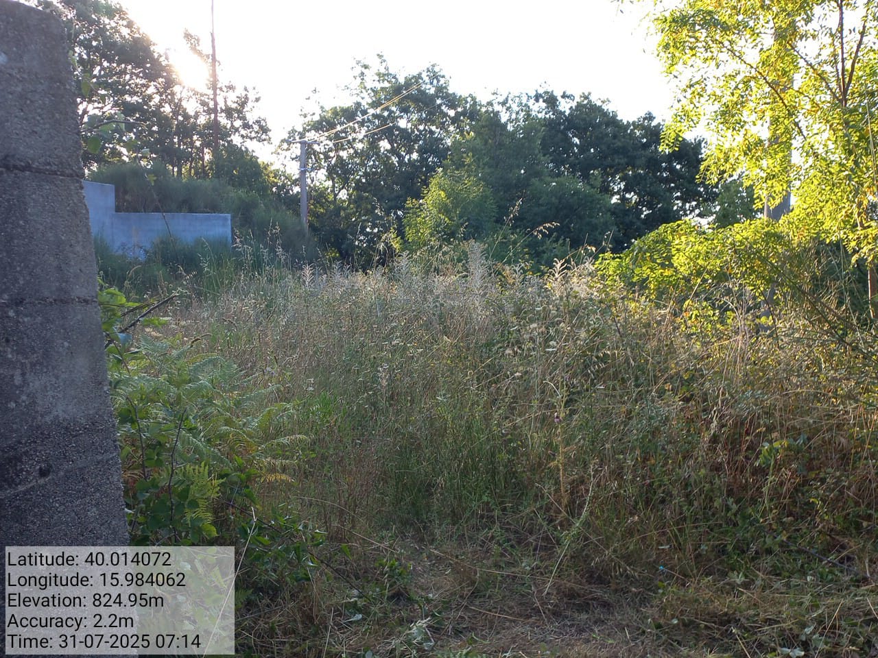 Galleria Fotografica Immagine