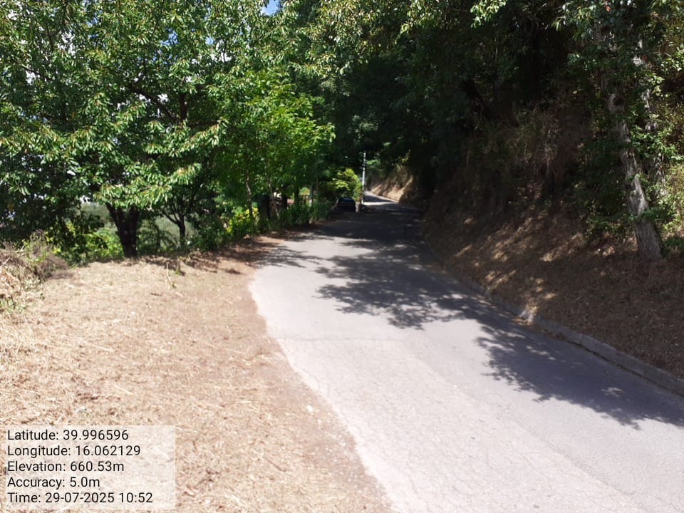 Galleria Fotografica Immagine