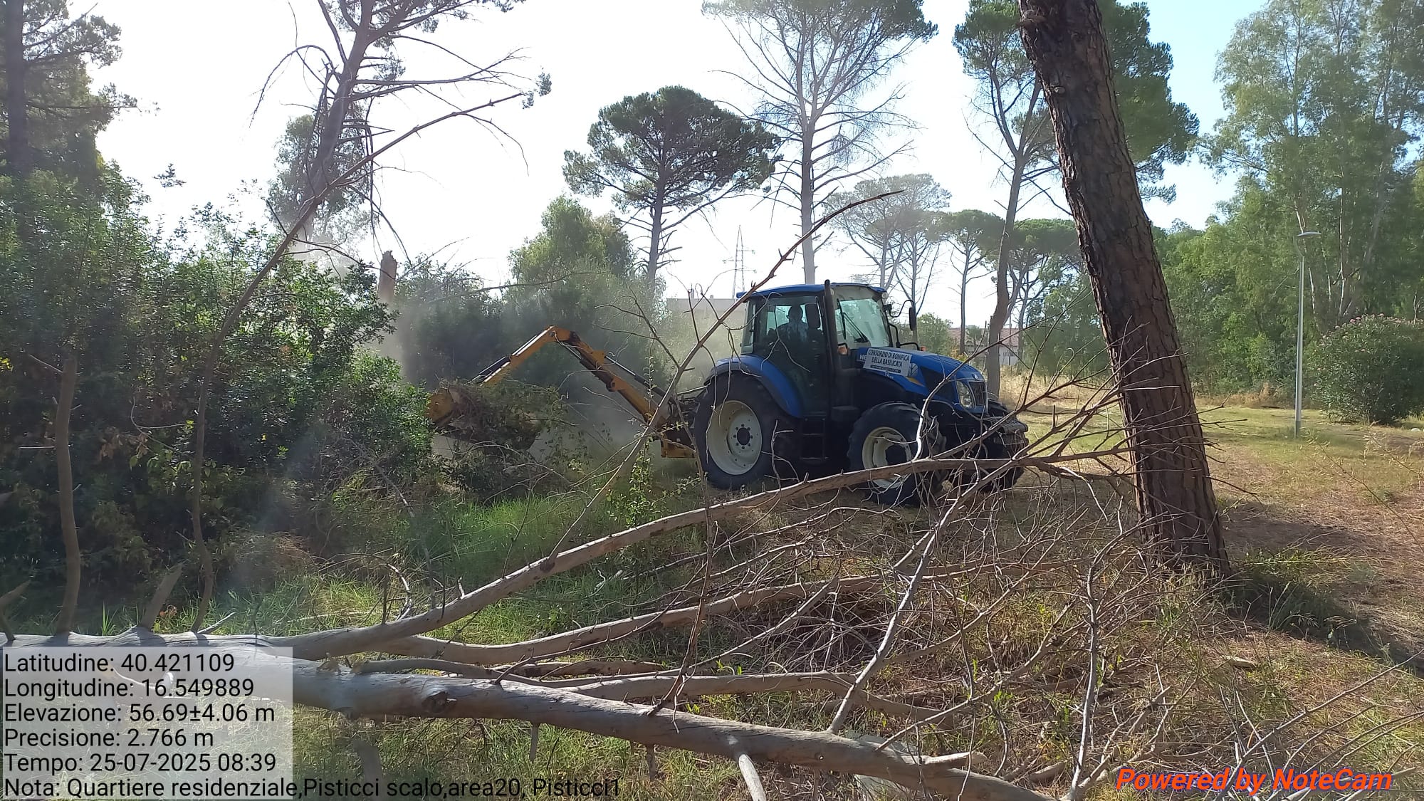 Galleria Fotografica Immagine