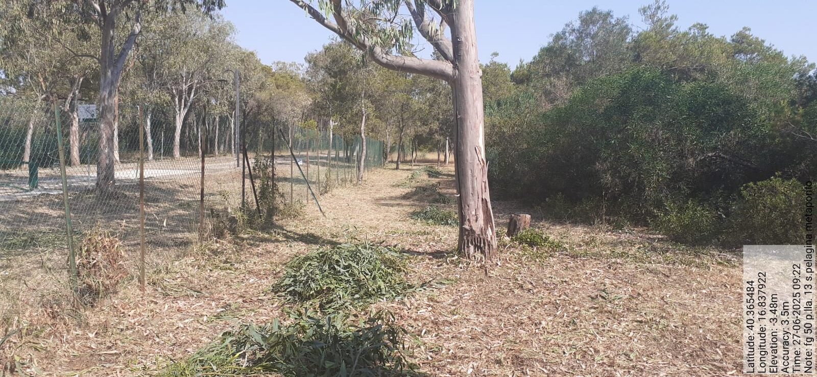 Galleria Fotografica Immagine