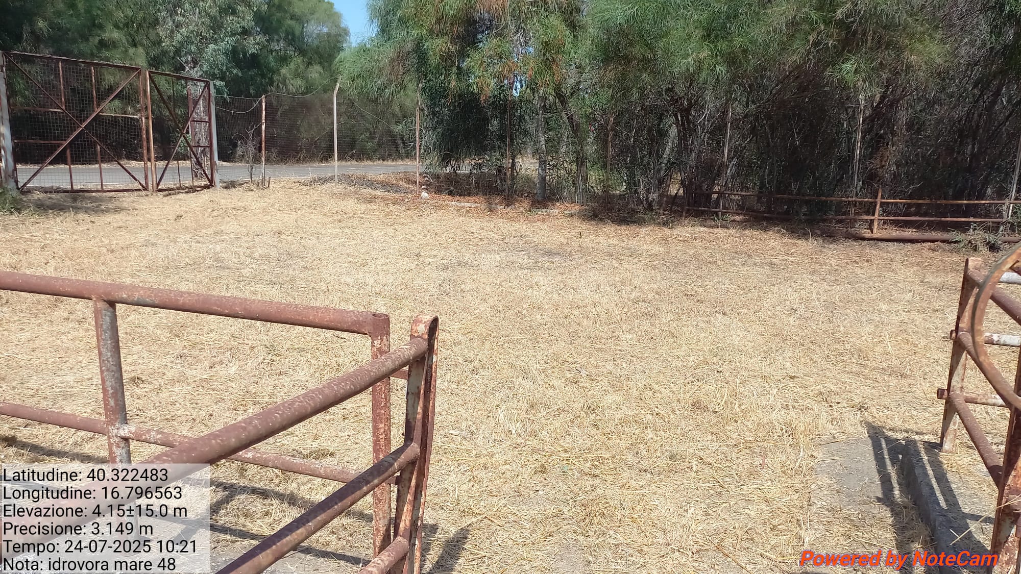 Galleria Fotografica Immagine