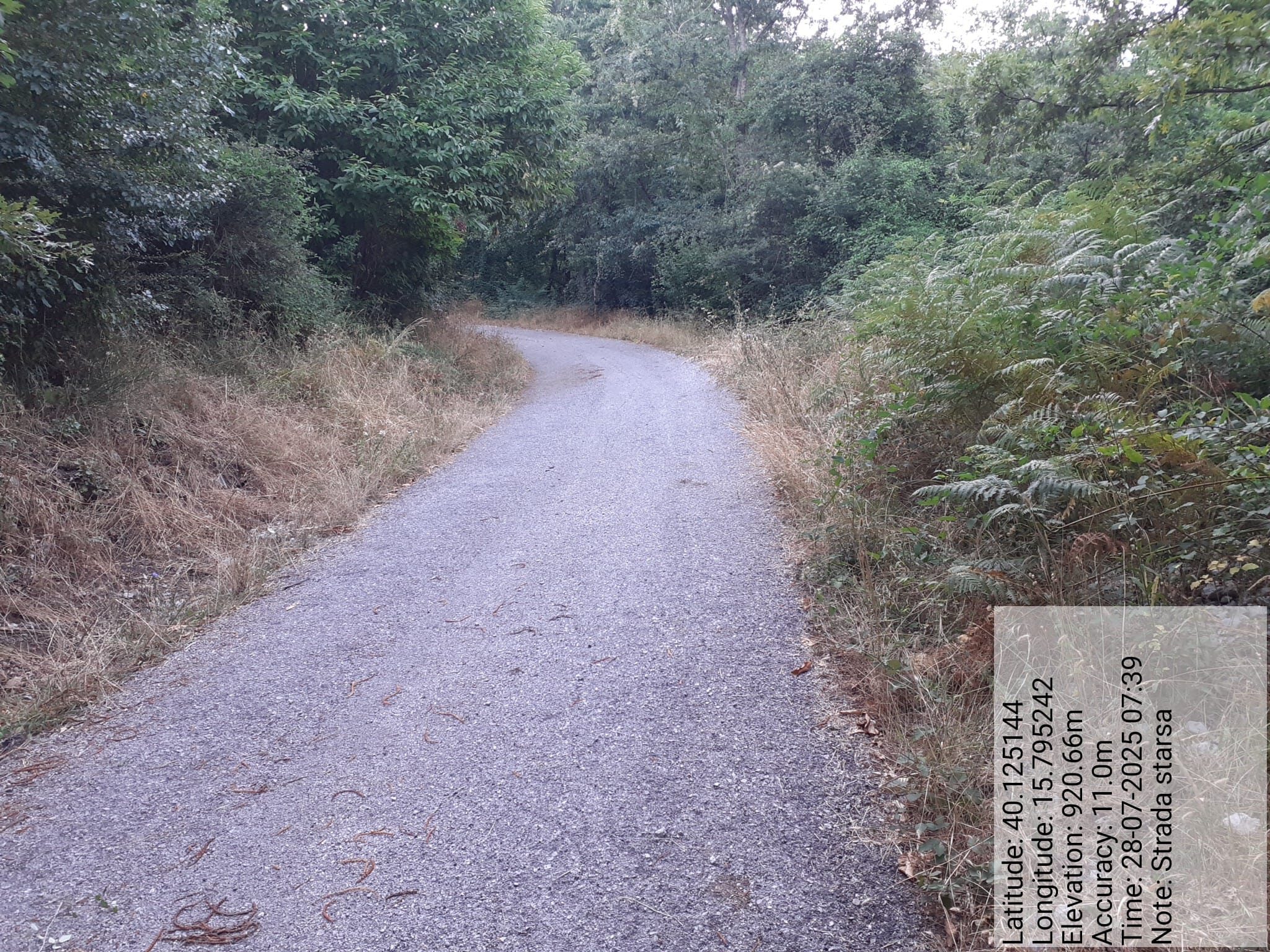 Galleria Fotografica Immagine