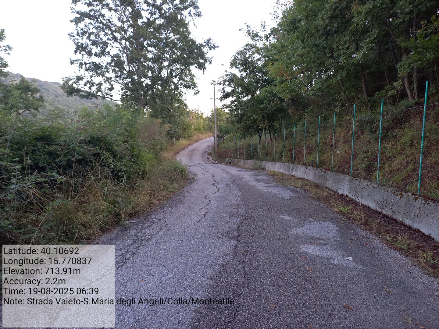 Galleria Fotografica Immagine