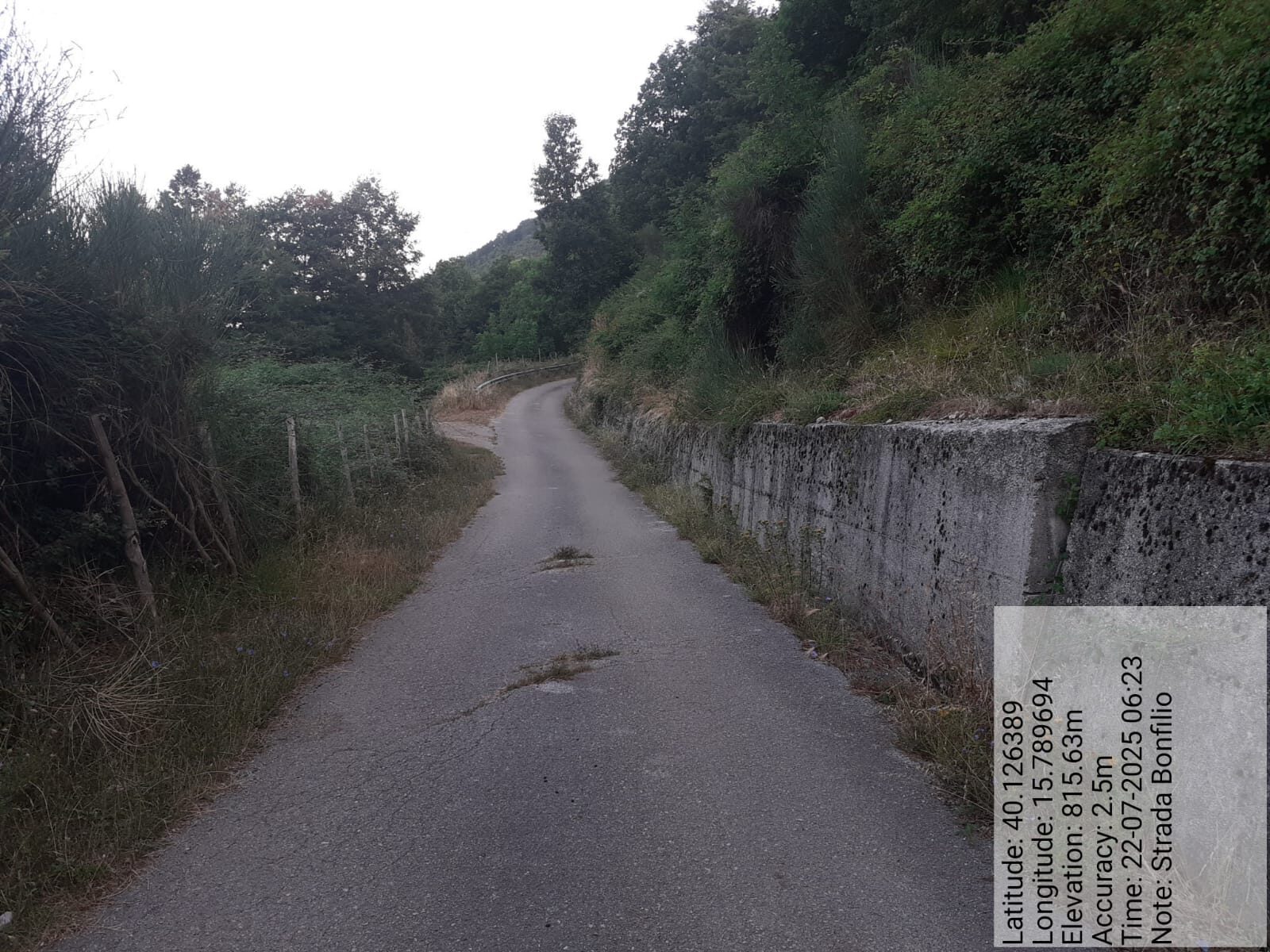 Galleria Fotografica Immagine