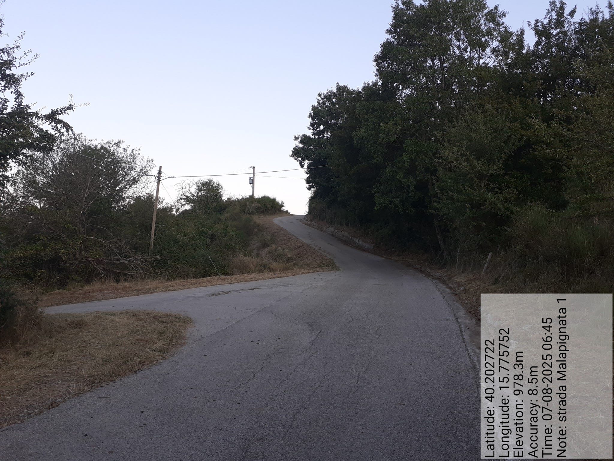 Galleria Fotografica Immagine