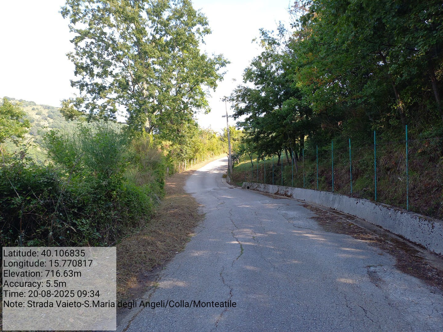 Galleria Fotografica Immagine