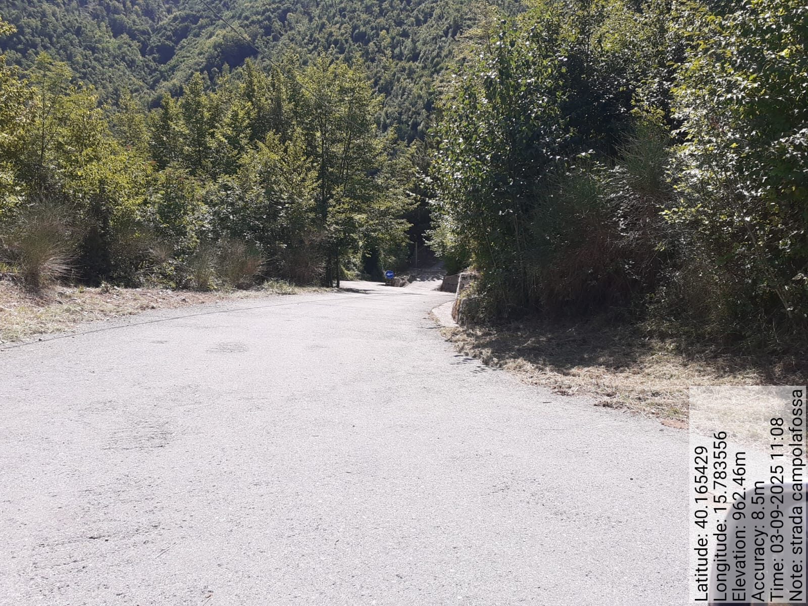 Galleria Fotografica Immagine