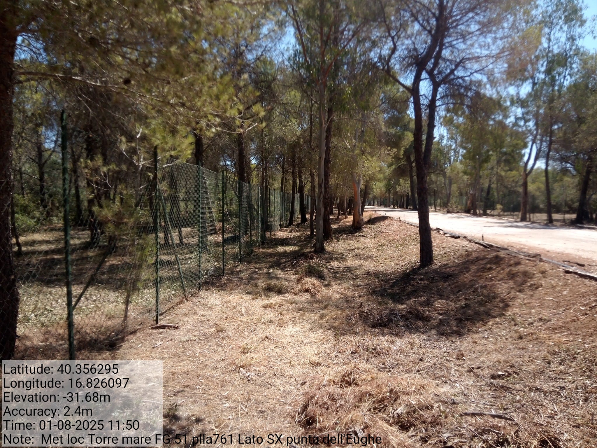 Galleria Fotografica Immagine