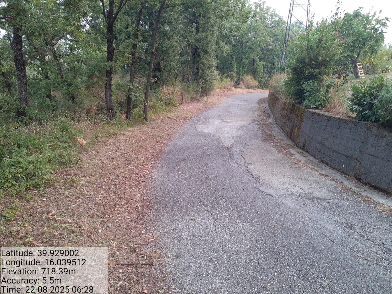 Galleria Fotografica Immagine