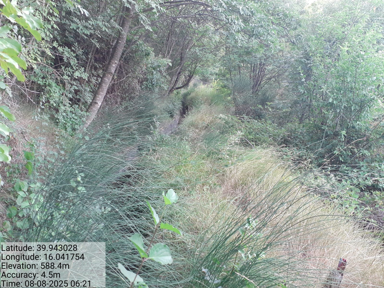 Galleria Fotografica Immagine