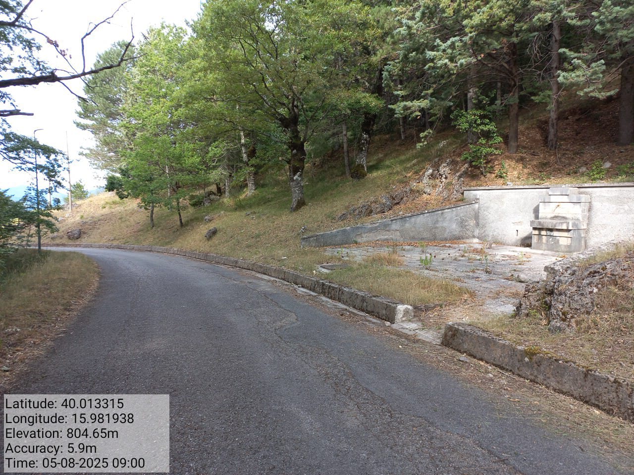 Galleria Fotografica Immagine