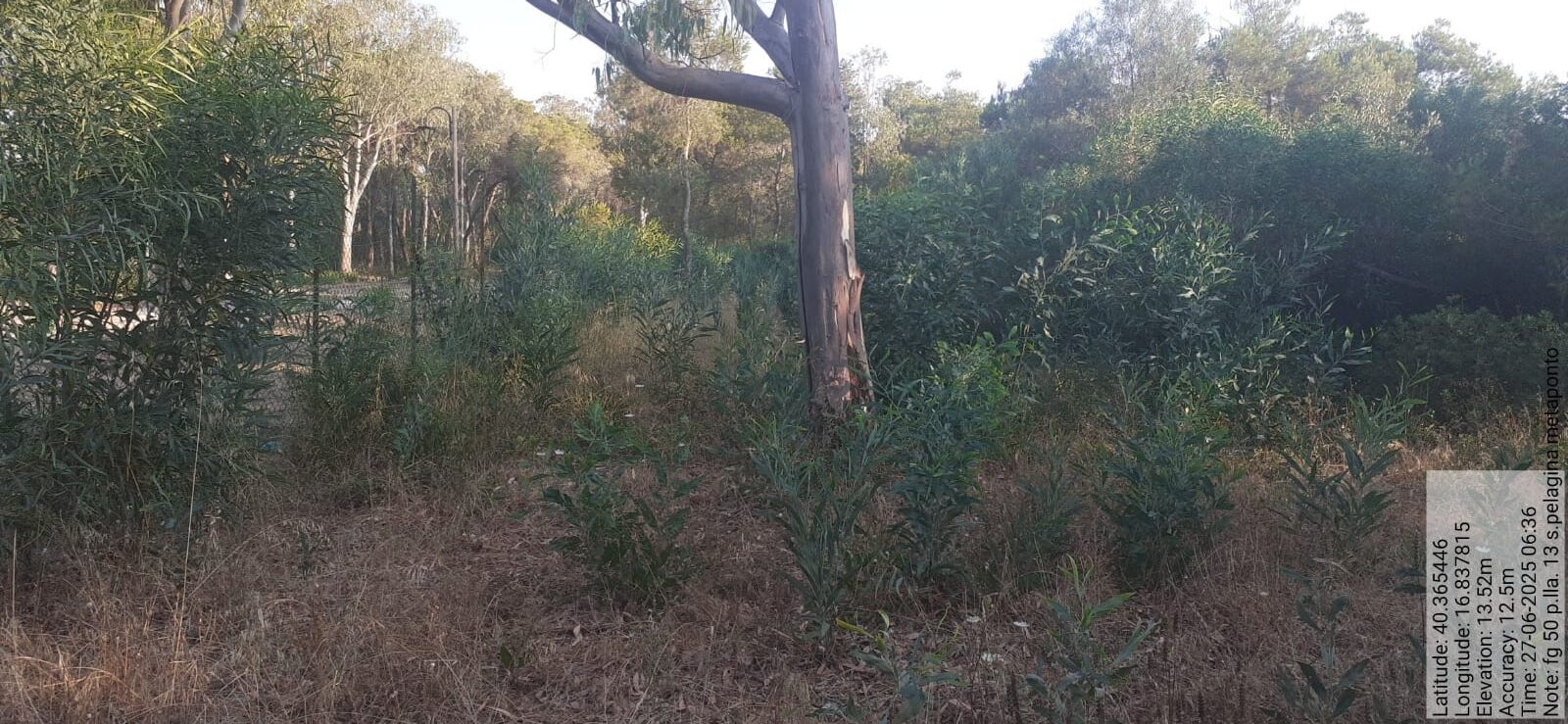 Galleria Fotografica Immagine